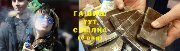 гидра Алексин