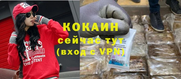 гидра Алексин