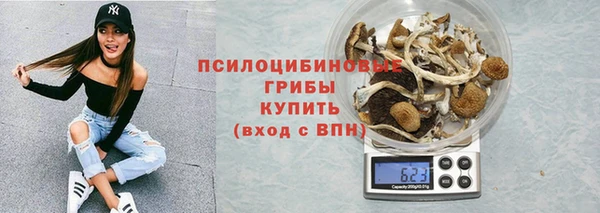 гидра Алексин